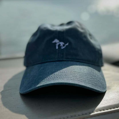 Great Lakes Icon Dad Hat